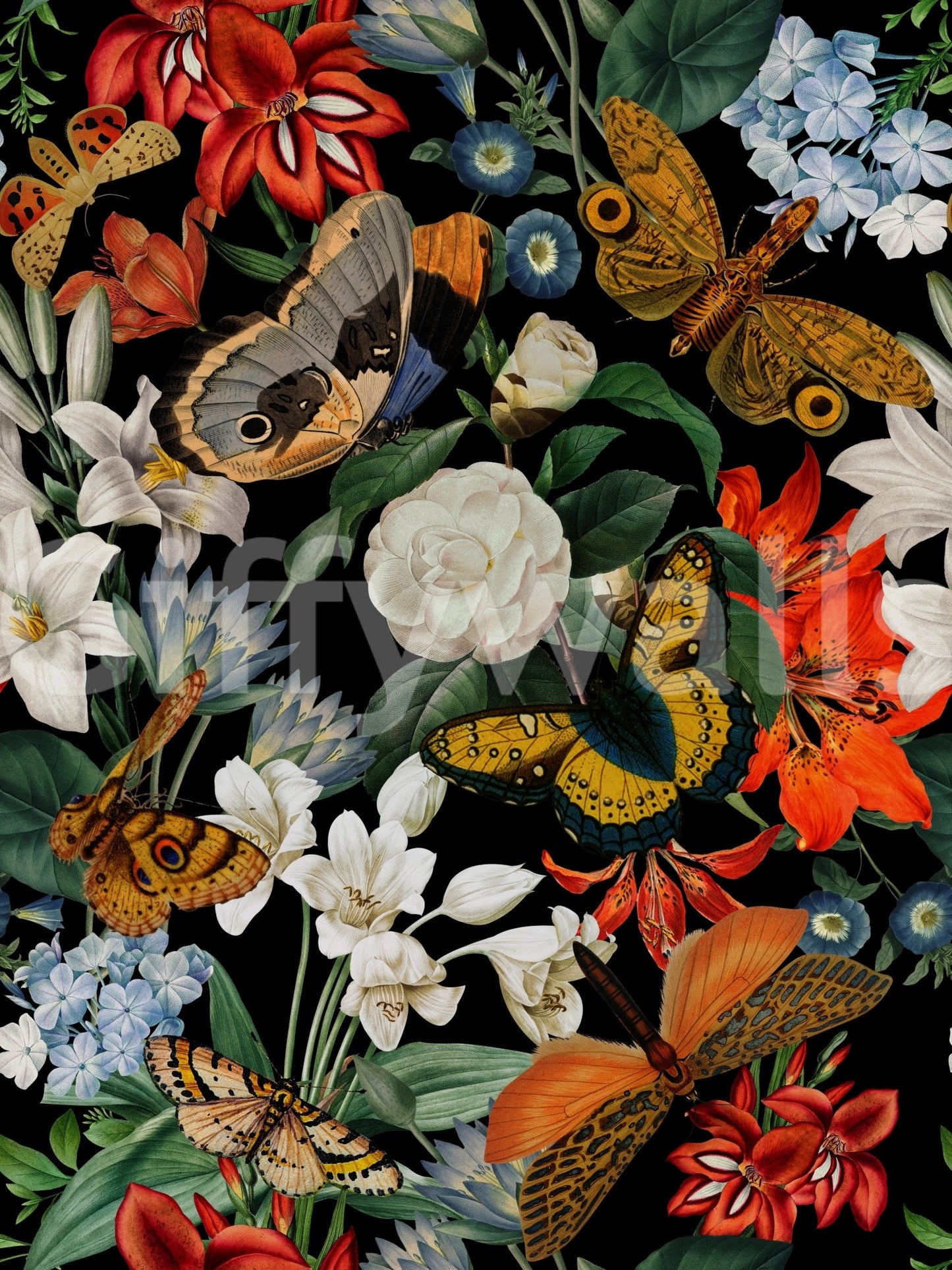 Whispers of the Night Wallpaper