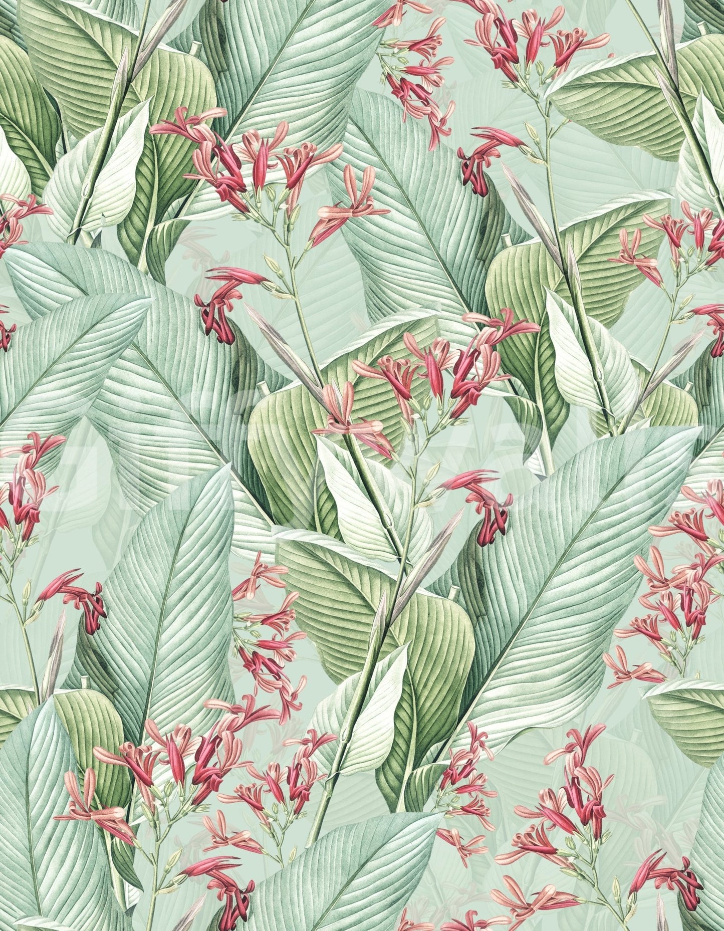 Whispers of the Tropics Wallpaper
