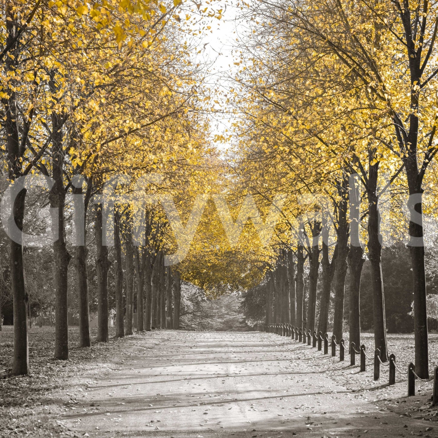 Chic white gold wall mural in a minimalist lounge area.