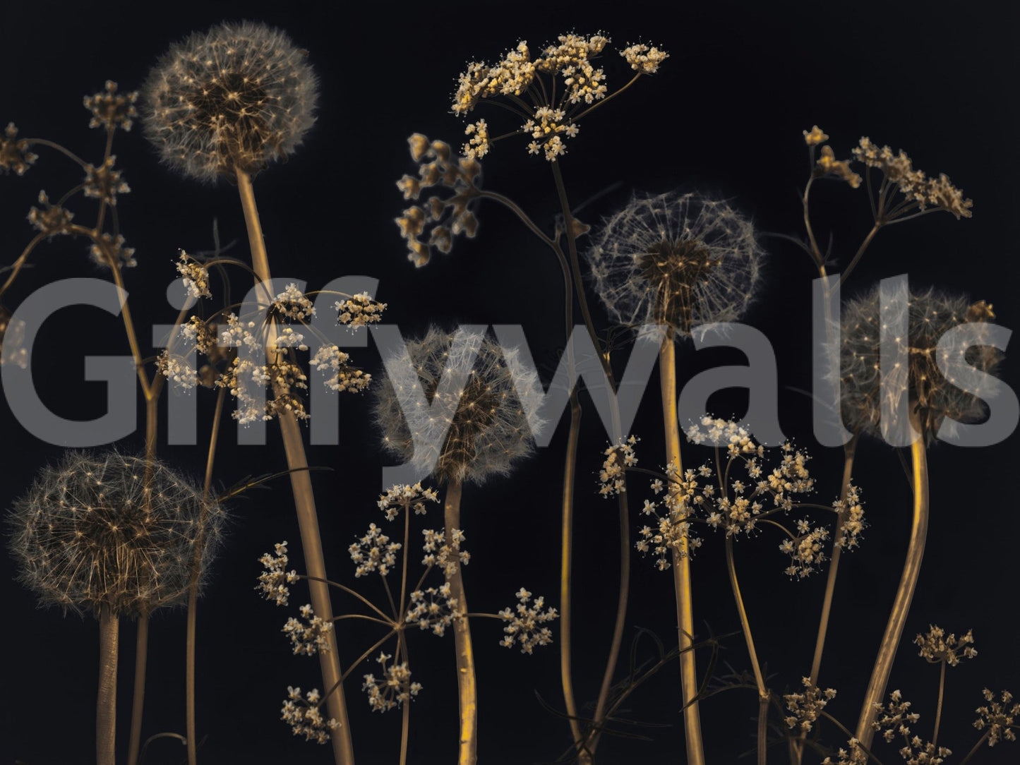 Wildflower Wonderland wallpaper mural fluffy seed heads on golden stems.