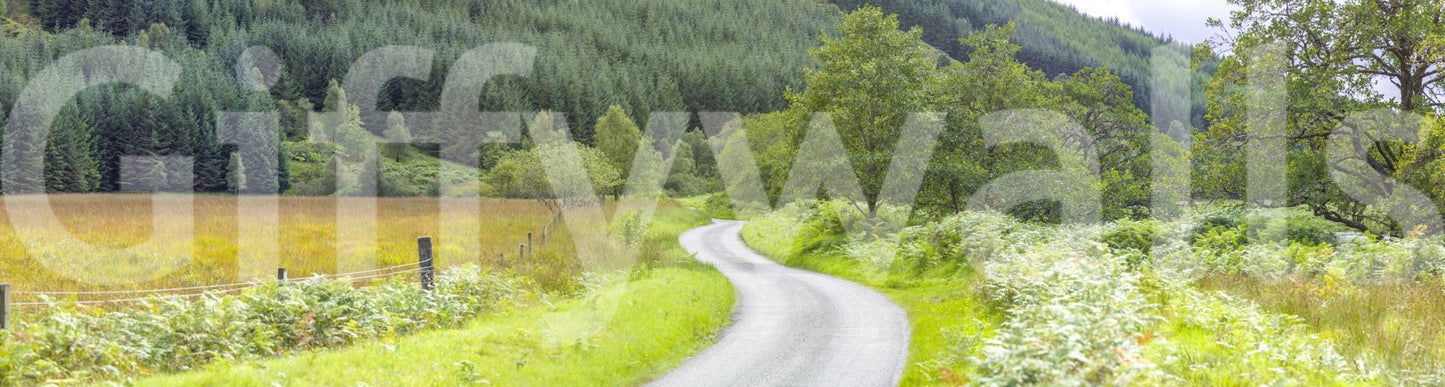 Peaceful natural design of the Winding Way Serenity Wall Mural.