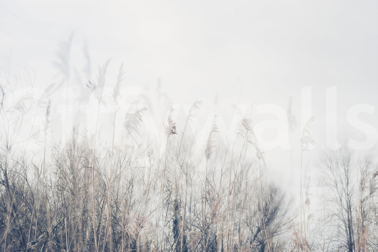 A high-quality abstract print wall mural for walls.