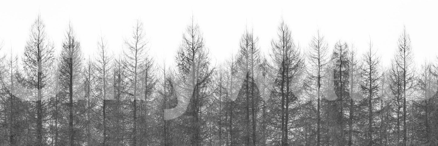 Nature inspired wall mural with a winter edge for a peaceful home.