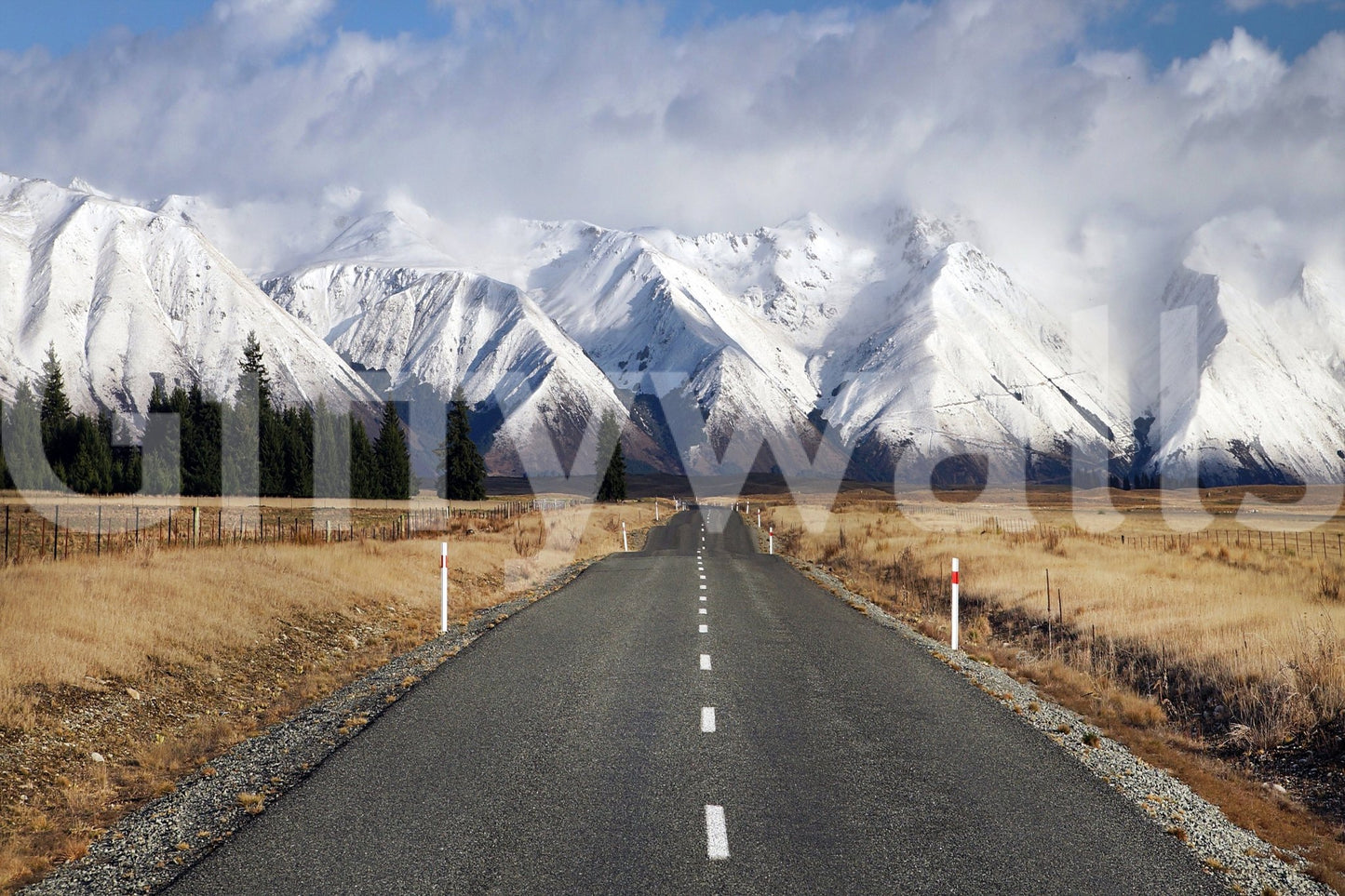 Nature inspired wall mural with a winter path for a peaceful home.
