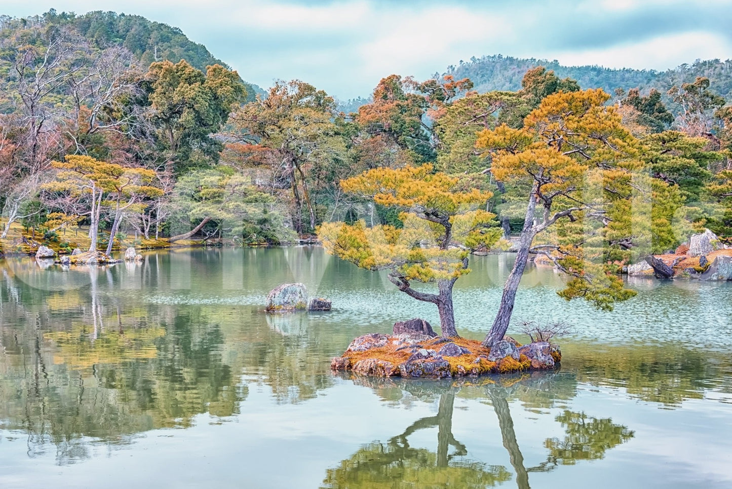 Zen Garden Serenity wall mural with still lake, island pines, and soft hillside view