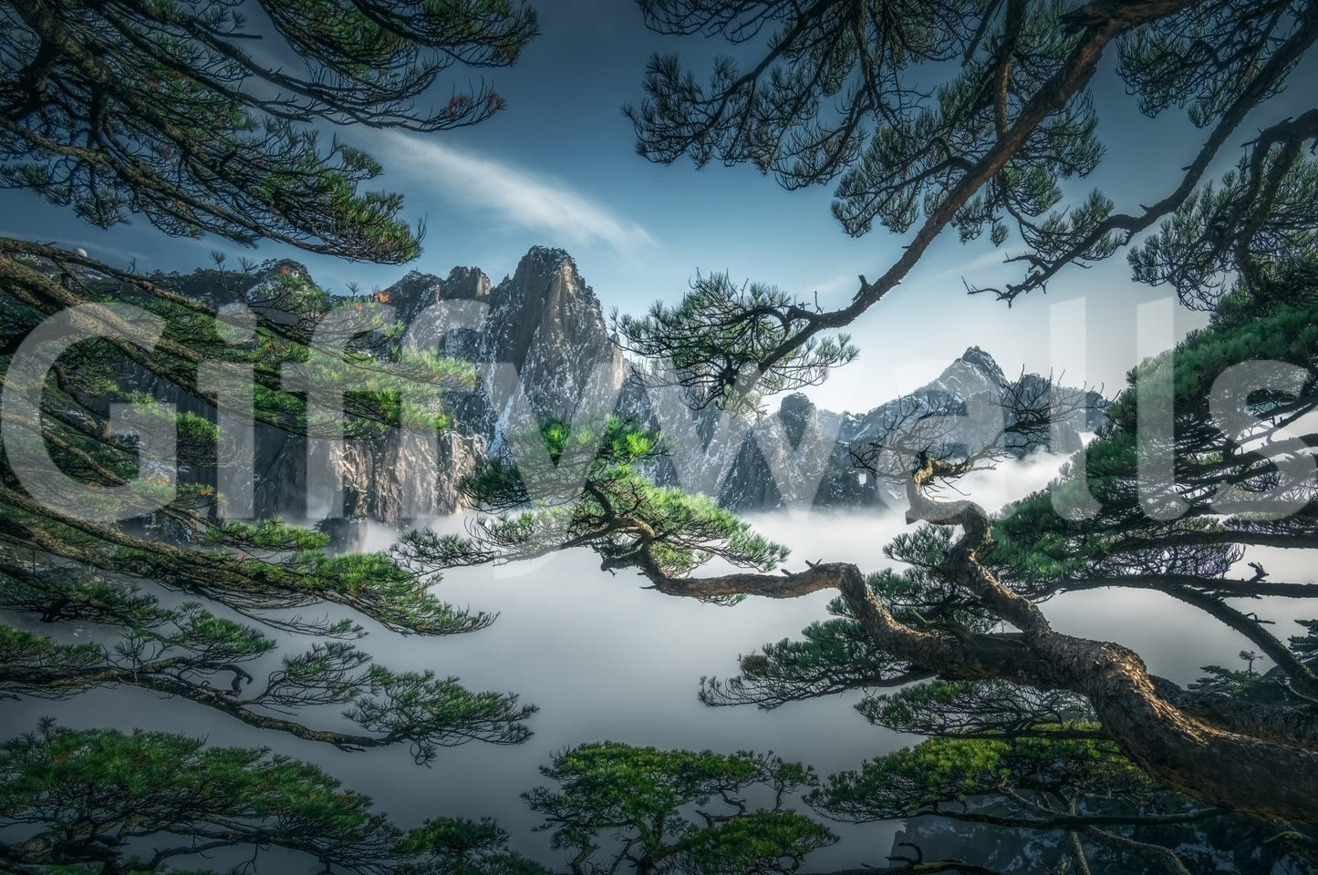 Zenith Peak View Wall Mural