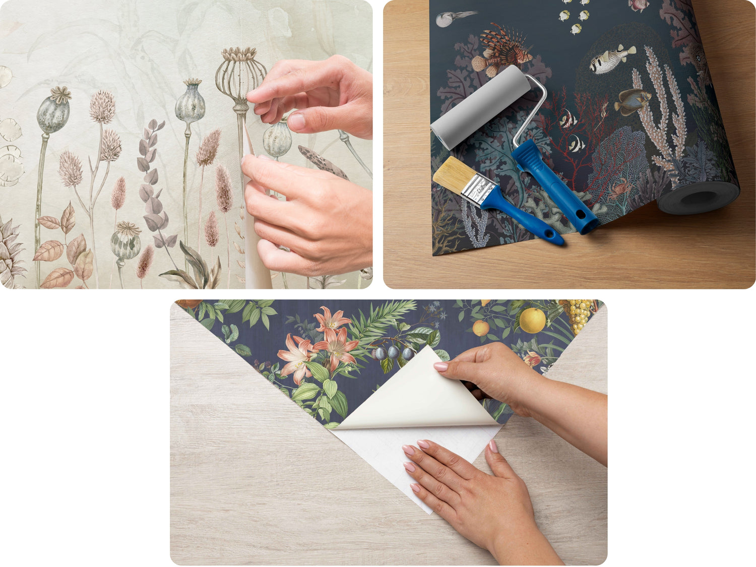 Special Features Wallpaper