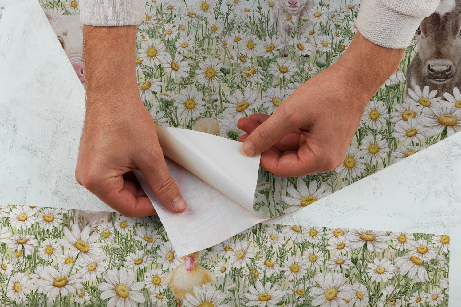 removable wallpaper