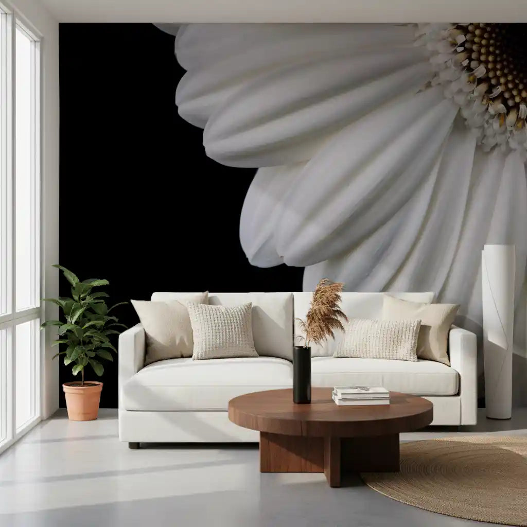 Monochrome Gerbera Macro Study Wall Mural