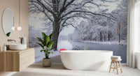 Frozen Canal Winter Wonderland Wall Mural