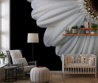 Monochrome Gerbera Macro Study Wall Mural