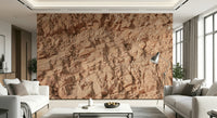 A beautiful abstract eroded earth wallpaper mural with subtle lines.

