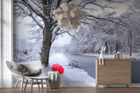 Frozen Canal Winter Wonderland Wall Mural