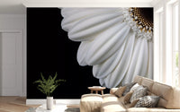 Monochrome Gerbera Macro Study Wall Mural