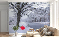Frozen Canal Winter Wonderland Wall Mural
