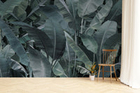 Nature-inspired banana leaf pattern wallpaper
