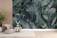 Bold dense tropical banana leaves wallpaper
