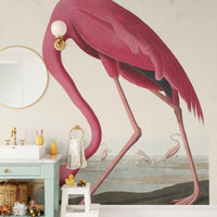 Audubon flamingo wallpaper for walls

