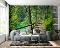 Emerald Forest Lake Wallpaper for Rooms

