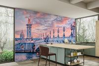 Paris bridge with dome and ornate lamps

