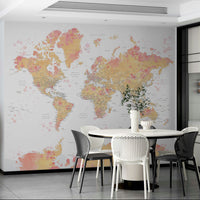 Blush tint world map wallpaper art

