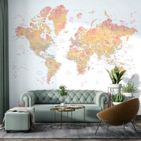 Blush tint map wallpaper for walls

