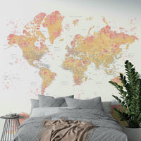 Blush tint map wallpaper for home

