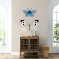 Brown butterfly with orange dots

