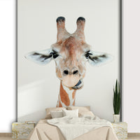 Giraffe looking happy with tongue out

