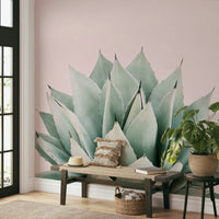 Agave succulent art pink background

