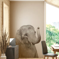 Smiling baby elephant portrait

