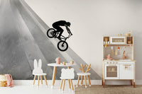 Silhouette of biker on BMX ramp

