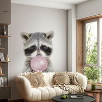 Funny raccoon chewing pink bubble


