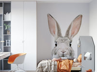 Fluffy rabbit art for wall mural

