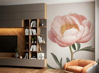 Peony bloom wallpaper for walls

