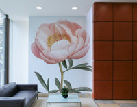 Elegant peony flower wall art

