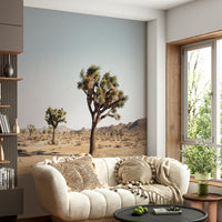 Cactus tree desert wallpaper view

