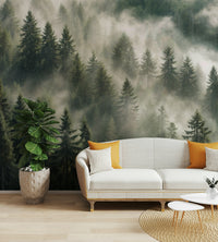 Woodland pine wallpaper scenery

