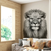 Wild lion image in black and white

