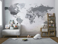Grey wall mural of a detailed world map

