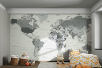 Detailed grey world map wall mural
