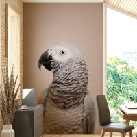 Subtle parrot wallpaper design

