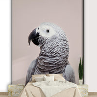 African Grey wall mural design

