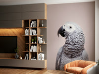 Soft parrot mural wallpaper

