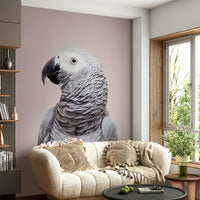 Grey bird wallpaper for walls

