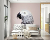 Mural wallpaper with bird focus

