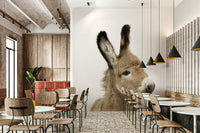 Soft-colored donkey mural wallpaper

