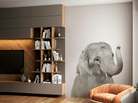 Cute baby elephant design
