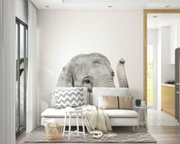 Baby Elephant Wall Mural
