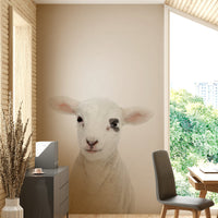 Soft baby lamb on wallpaper for walls
